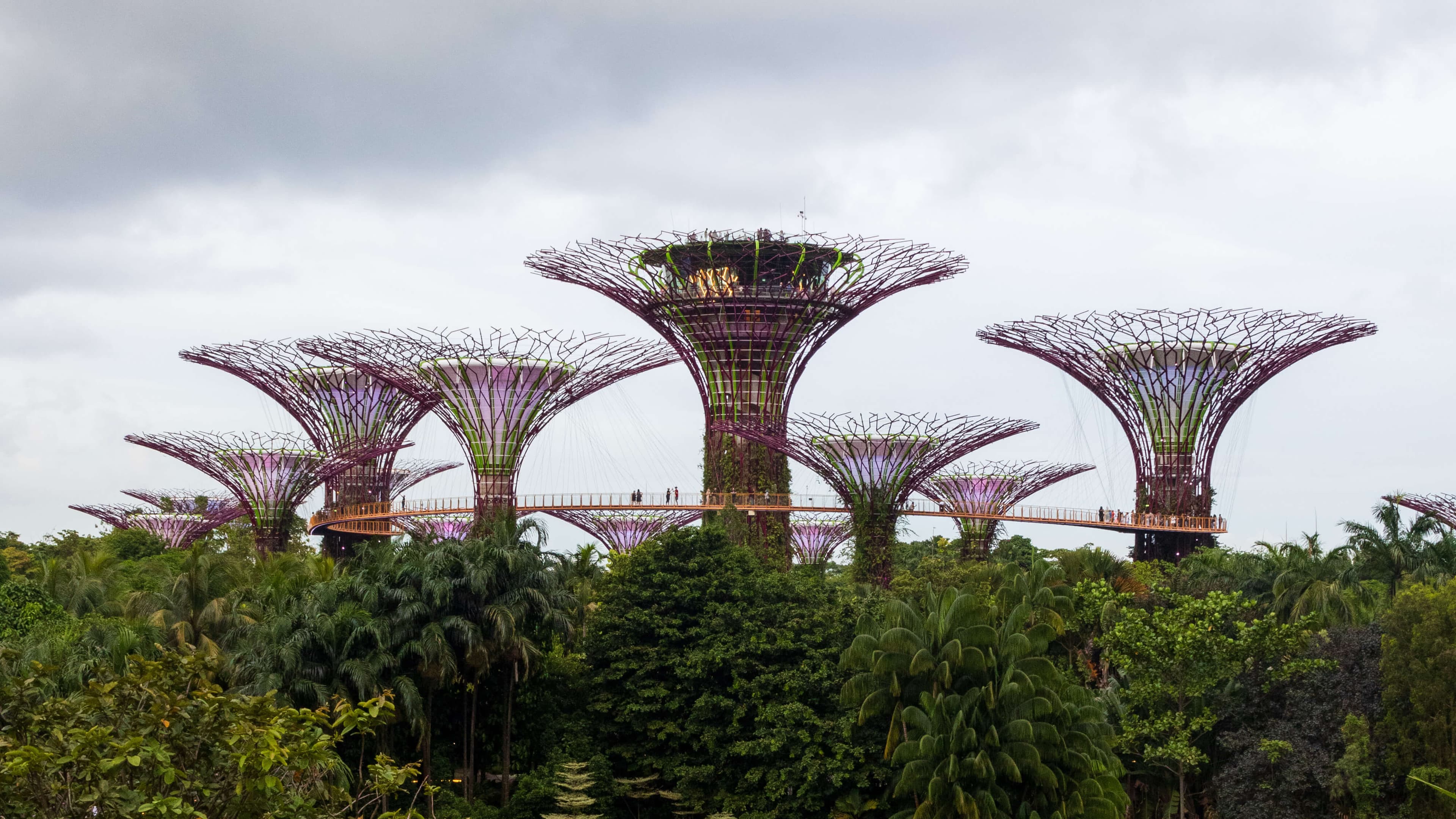 Supertrees